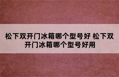 松下双开门冰箱哪个型号好 松下双开门冰箱哪个型号好用